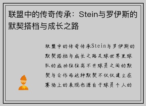 联盟中的传奇传承：Stein与罗伊斯的默契搭档与成长之路